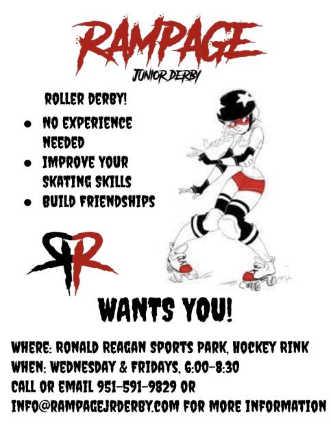 Drop-in Fee